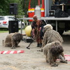 DSC01534.jpg