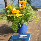 DSC07640.jpg