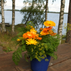 DSC07670.jpg
