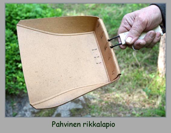 10_pahvinen.jpg